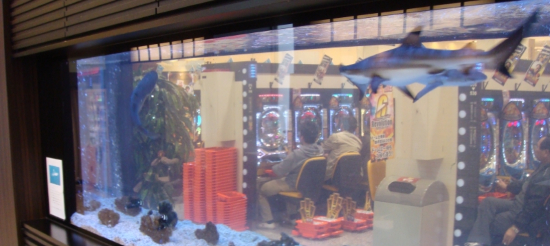dsc001592082cc83r83s815b.jpg